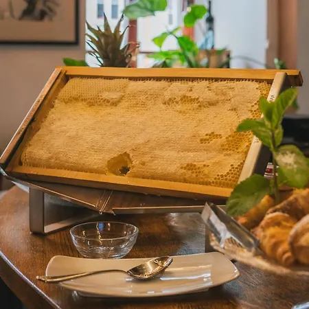 Ventus Rosa Boutique מלון דירות קרקוב