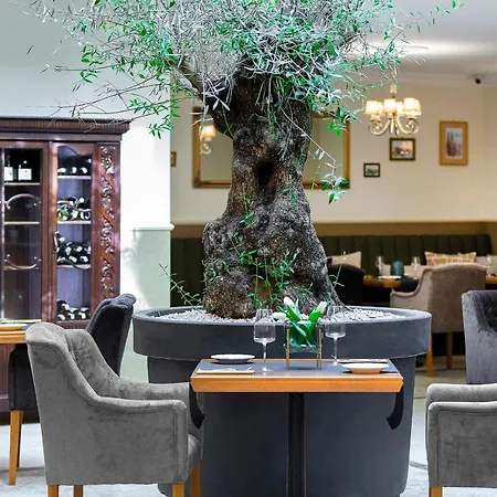 Ventus Rosa Boutique 4*